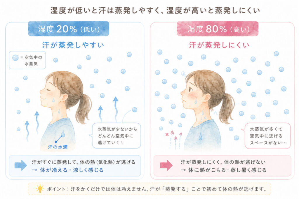 湿度と汗の蒸発の関係性を表すイラスト